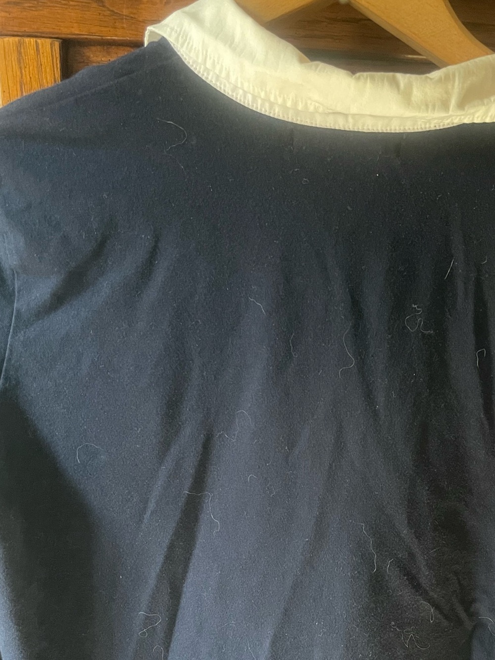 Lauren Ralph Lauren Cotton Navy Long-Sleeve Polo with White Collar - Picture 6 of 6